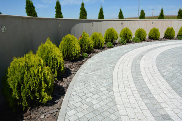 Reasons to Select Us for Your Driveway Paving Requirements in Livermore, CA